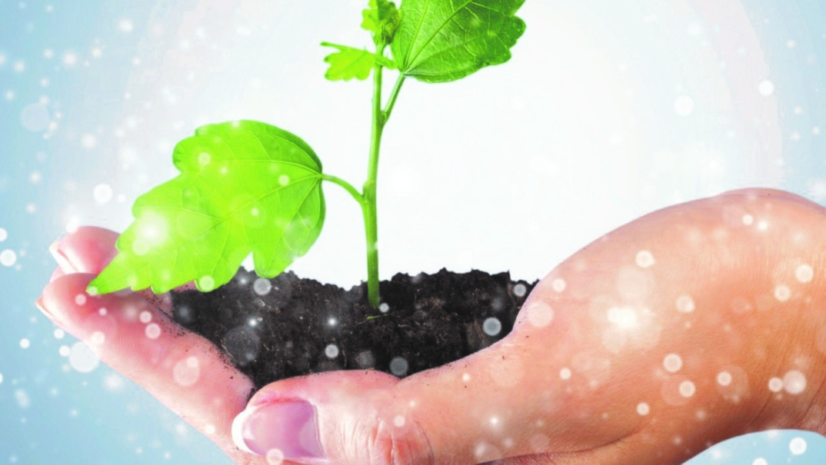 I NOSTRI SERVIZI GREEN